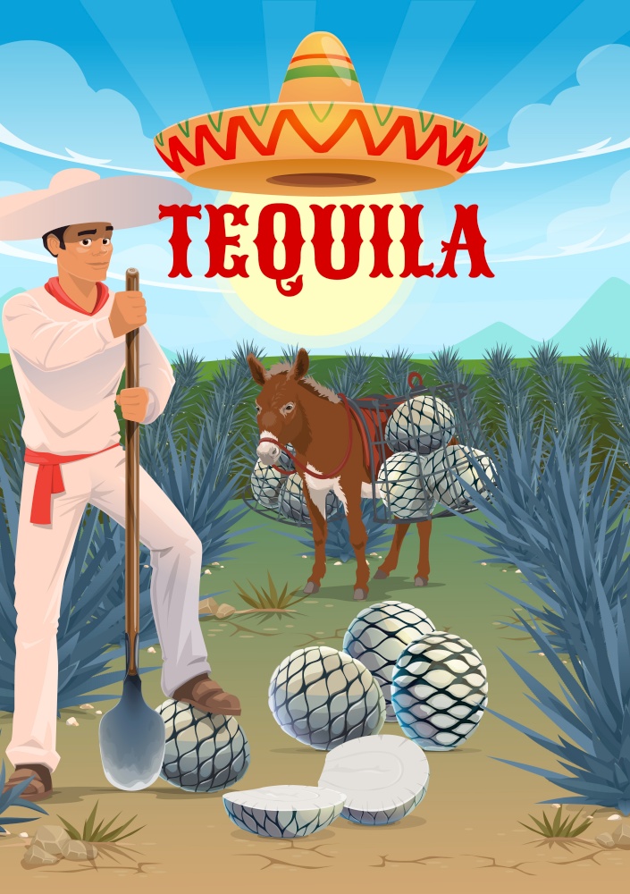 Tequila agave plantation worker, mule or donkey with pinas hearts. Jimador harvester on field, man in sombrero hat cutting agave leaves with coa tool. Tequila production, agave growing and harvesting. Tequila production, agave growing and harvesting