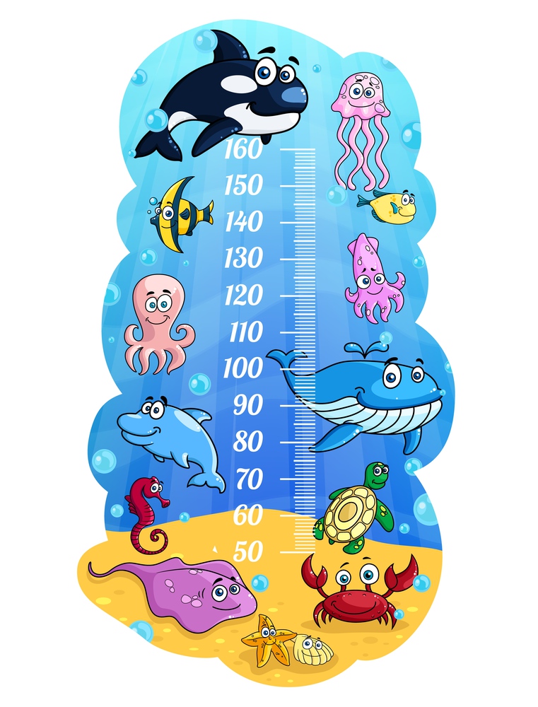 Kids height chart, cartoon sea animals growth measure meter with cute vector whale, fishes and octopus, jelly fish, squid and crab or shell. Wall sticker with scale for height measurement for children. Kids height chart cartoon sea animals growth meter