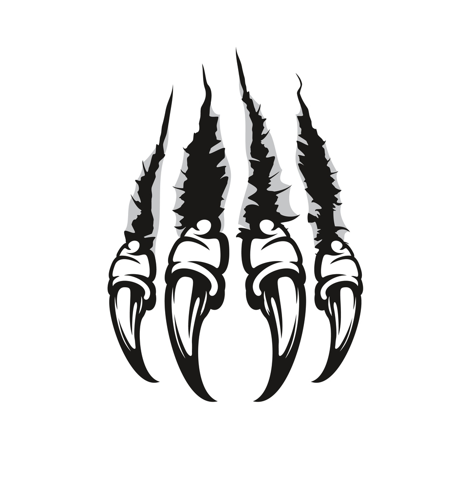 Monster claw marks and scratches, wild beast animal torn cracks, vector. Monster beast or werewolf claw scratches, bear, wolf or dragon paw marks with sharp fissures and damaged breaks, black on white. Monster claw, beast wild animal or dragon scratch