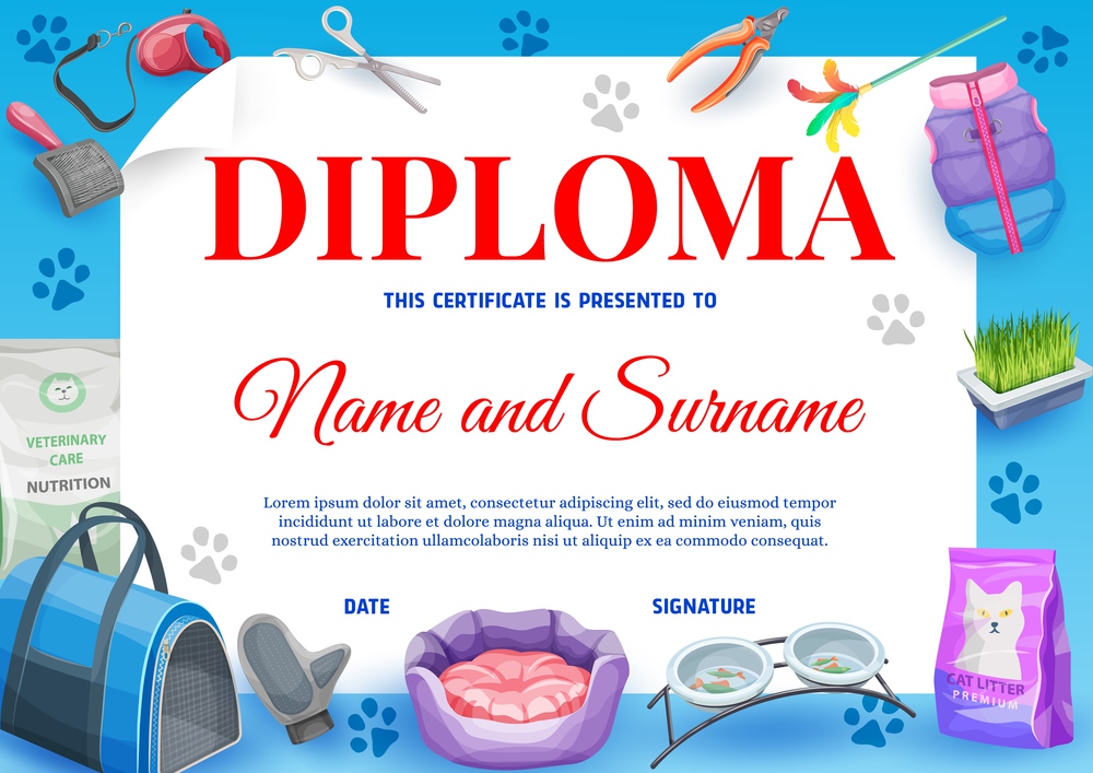 Cat or kitten pet animal care diploma with vector background frame of cartoon pet supplies. Certificate or diploma of graduation, achievement or appreciation award template with cat food, bowls, toys. Cat or kitten pet care diploma, certificate
