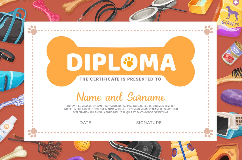 Dog pet care diploma or certificate vector template with cartoon zoo shop items for puppies. Award frame template with dog feed, booth, clothes and bowls, bones, toys and leash with muzzle and collars. Dog pet care diploma, certificate vector template