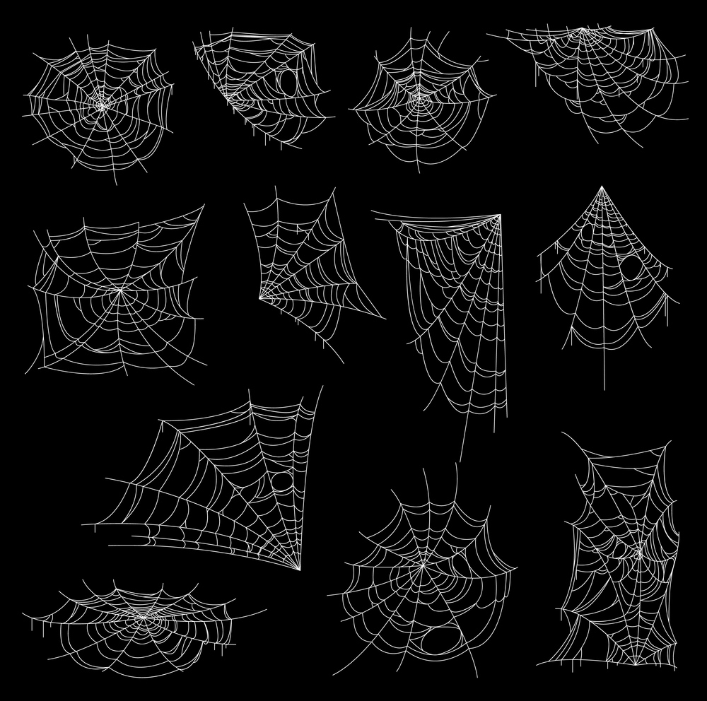 Halloween web, spiderweb or cobweb vector set. Horror spider nets with white corner, circular and spiral webs, creepy thread nets and traps for insects or flies, Halloween holiday cobweb decoration. Halloween web, spiderweb or cobweb vector set