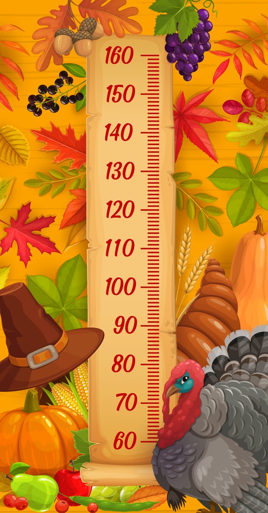 Kids height chart, Thanksgiving turkey, harvest and autumn leaves, vector growth measuring meter. Kid measure scale or baby height ruler with cartoon Thanksgiving cornucopia, pumpkin and acorns. Kids height chart, Thanksgiving turkey and harvest
