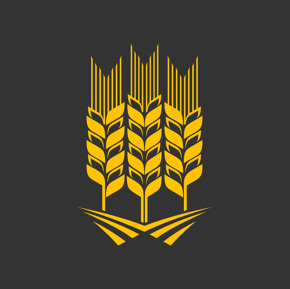 Cereal ear and spike icon. Agriculture company, farm or bakery, seeds shop or store vector emblem, graphic symbol or icon with yellow wheat, rye or barley ear, rice, millet stalk. Cereal ear, wheat, rye or barley graphic icon
