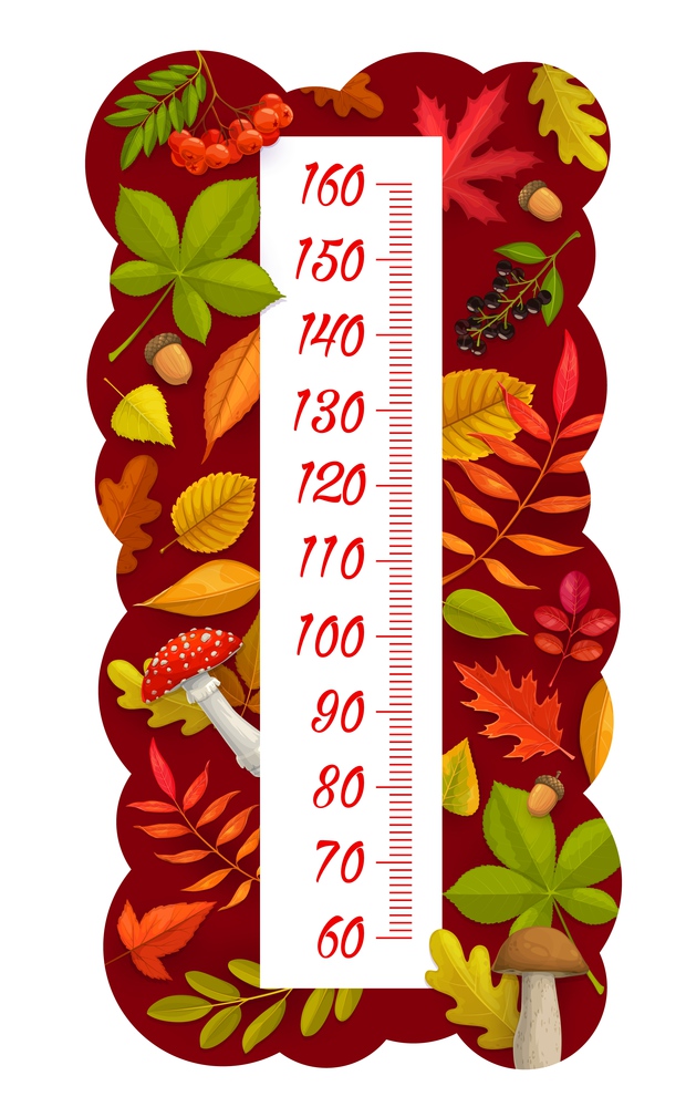 Kids height chart, autumn leaves, berries, mushrooms and acorns, vector growth measuring meter. Kid measure scale or baby height ruler with cartoon autumnal harvest of maple, birch or oak leaf. Kids height chart, autumn leaves, berry, mushroom