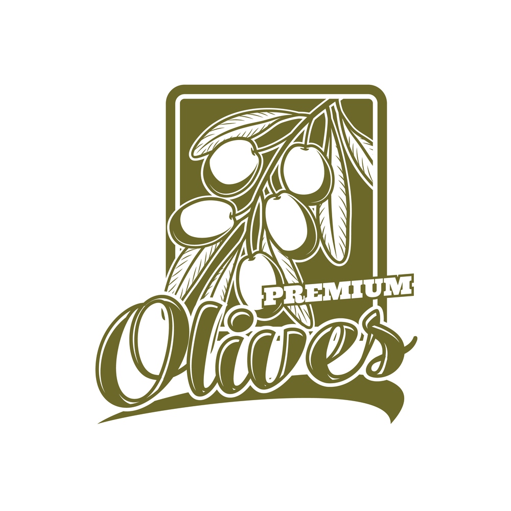 Premium olives, oil label or icon. Vector olive tree branch or twig with ripe fruits, leaves and lettering. Mediterranean cuisine, olives farm orchard, natural food product emblem. Olives farm emblem, olive oil vector label