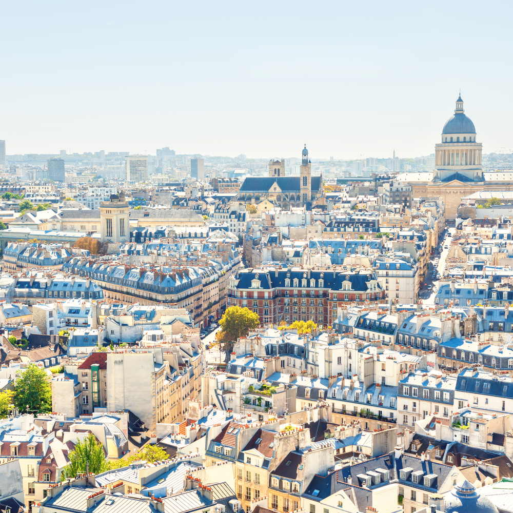 Paris cityscape with  aerial architecture, roofs and city view