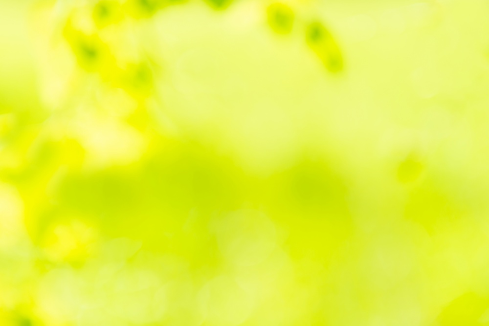 Green sunny blur nature background for green abstract background