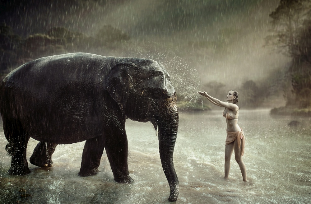 Sensual woman taming an indina elephant