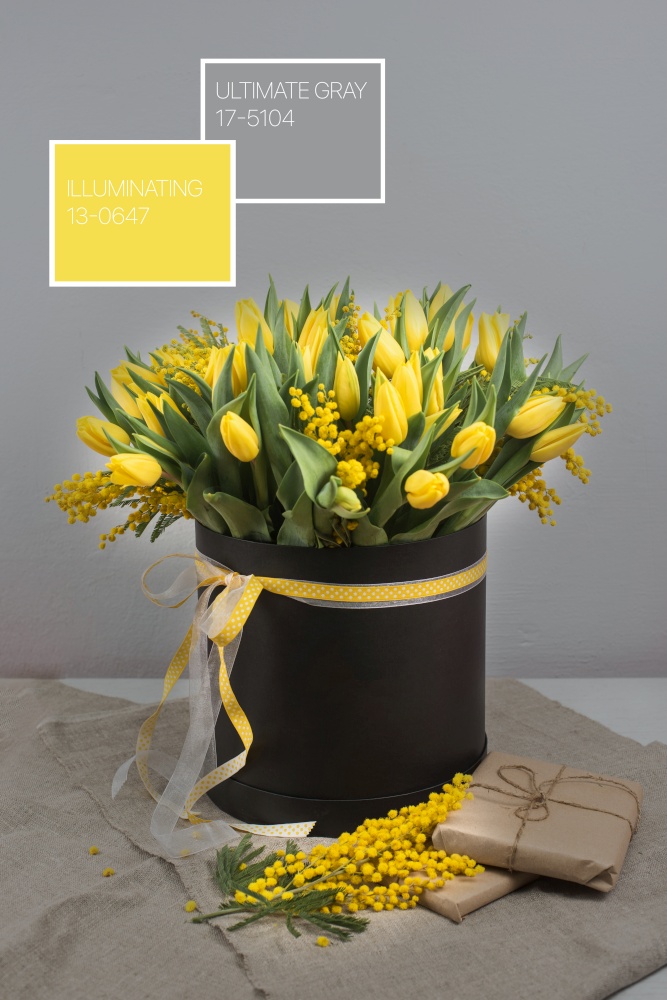 Bright spring bouquet of tulips and mimosa flowers. Mother&rsquo;s Day or Easter theme.. Bright spring bouquet of tulips and mimosa flowers