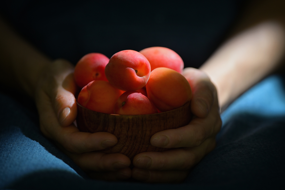 Ripe organic apricots in bowl and sunrays