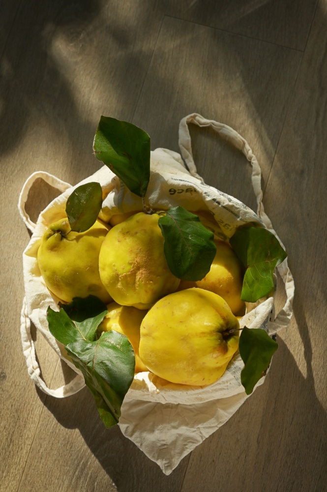 Freshly Harvested Quinces Cydonia Oblonga and Grocery Shopping Bag