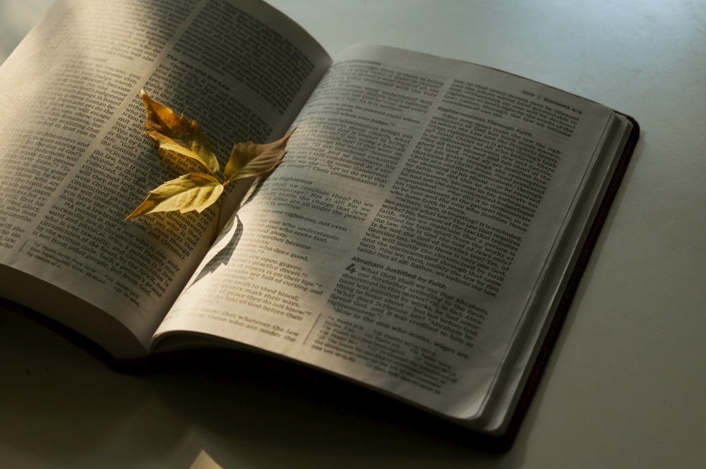 Abstract Autumn Dry Leaf On Open Bible and Sunrays