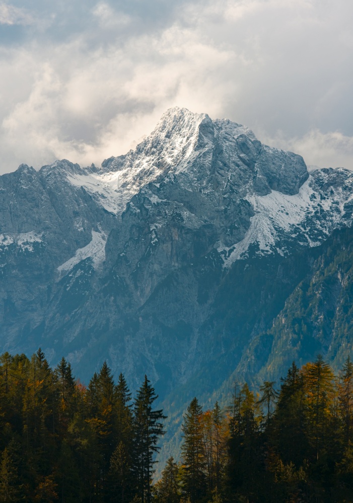 Grintovec mountain at fall. View on mountain peak in Southern Limestone Alps, Slovenia. Alpine peak is lit with day sunlight. Mountain range against clouds, with pine forest on foreground,. Grintovec mountain at fall, Alps, Slovenia