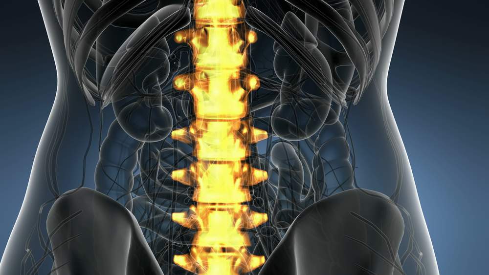 backache in backbone. science anatomy scan of human spine bones glowing with yellow. Backache in Back Bones