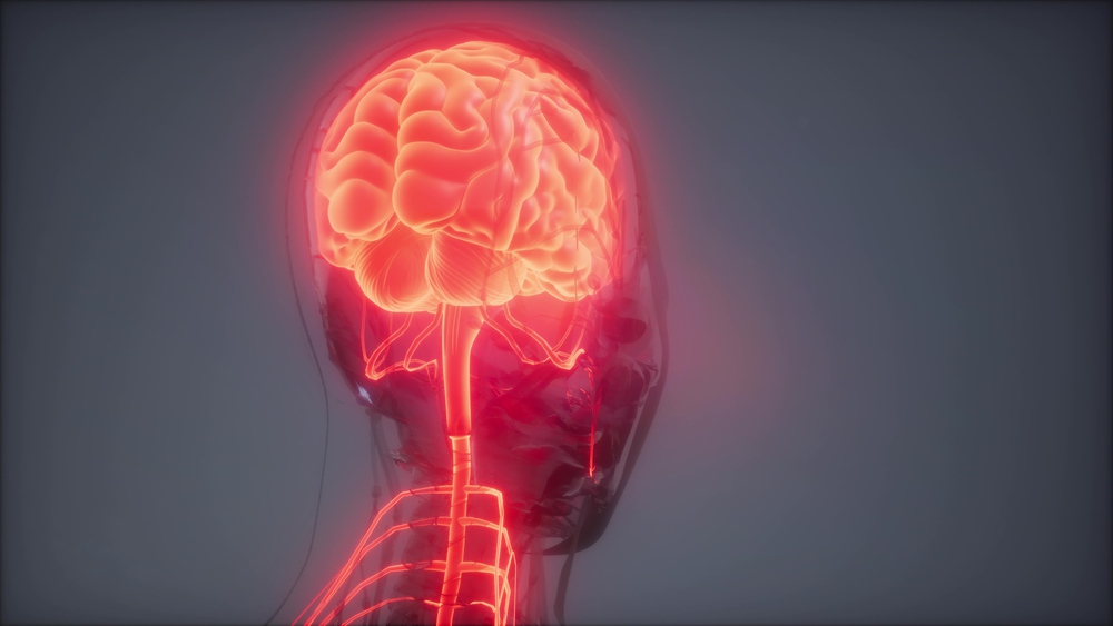 science anatomy scan of human brain glowing. Human Brain Radiology Exam