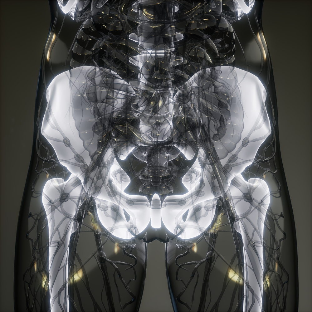 medical science image of human skeleton bones. Transparent Human Body with Visible Bones