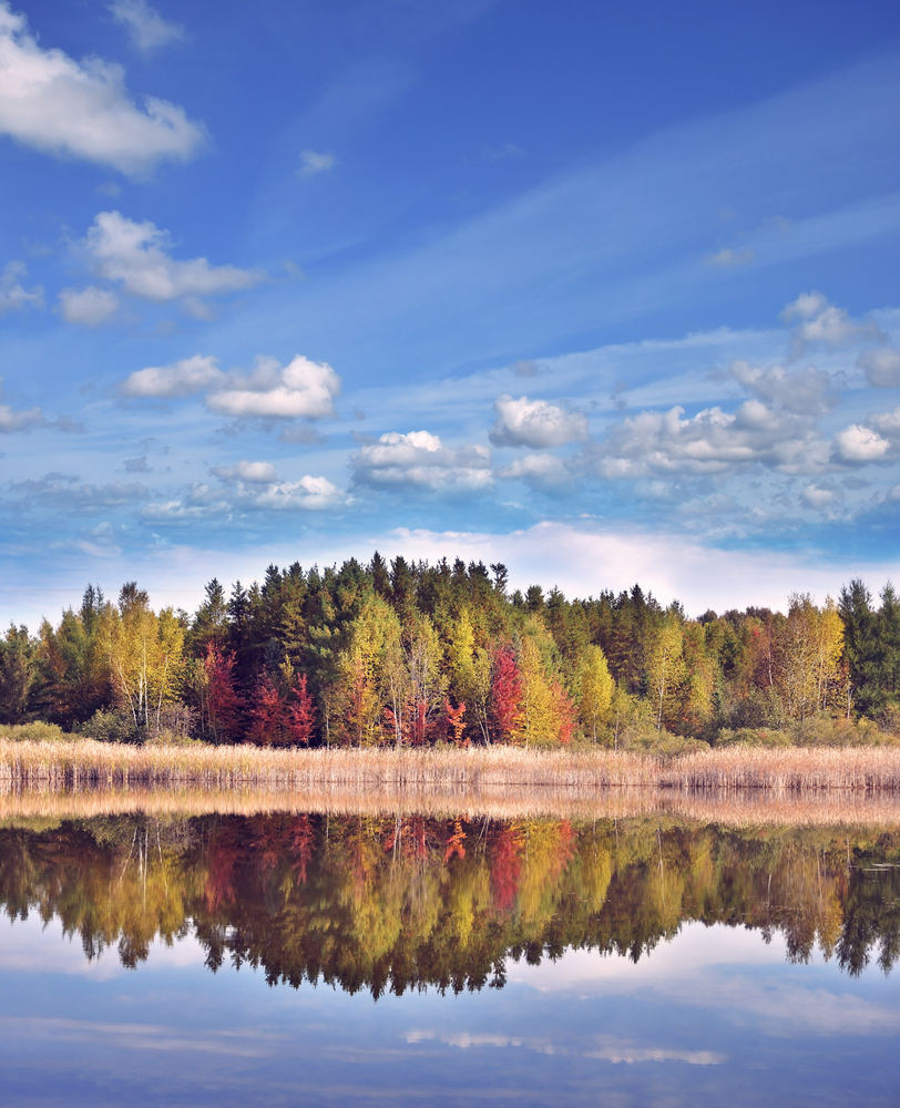 autumn landscape with colorful trees near lake with reflection