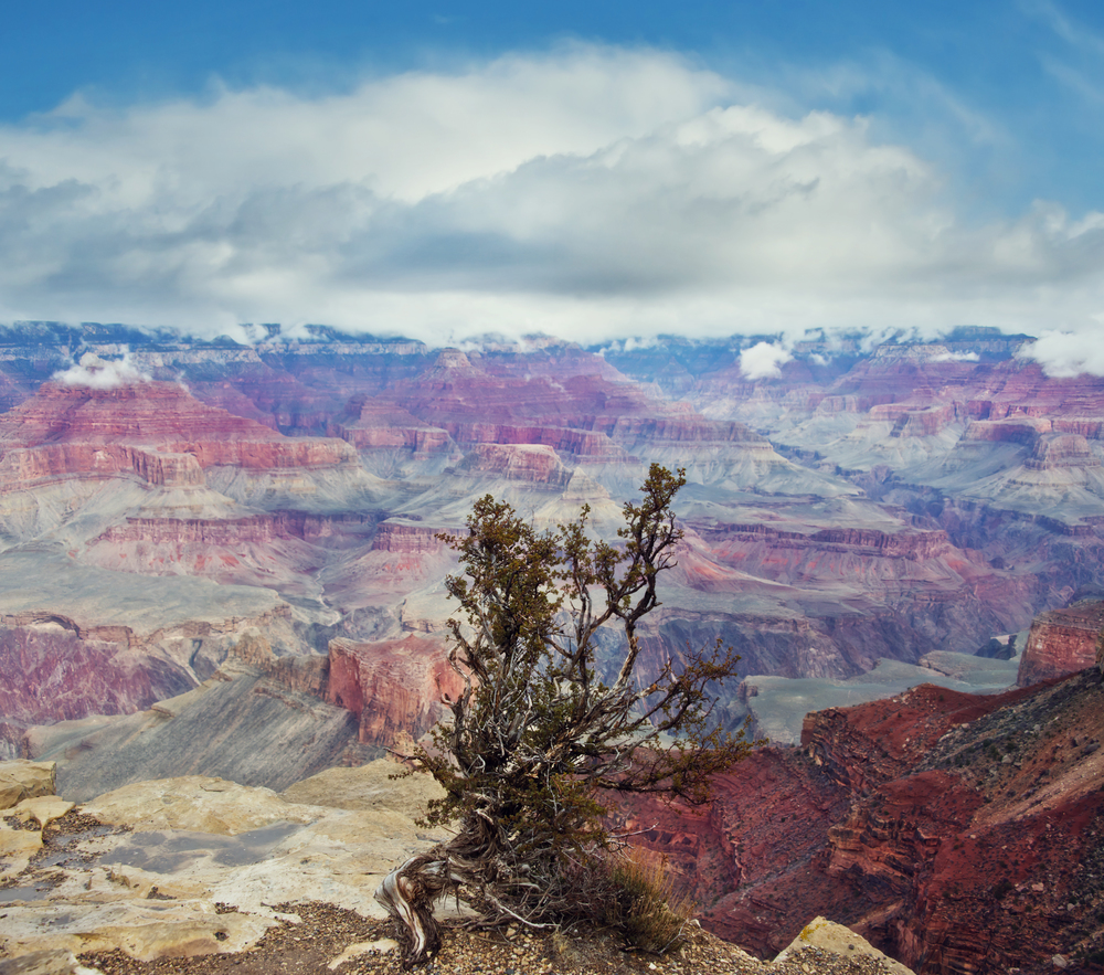 Grand Canyon National Park, South Rim ,Arizona, USA. Before winter storm in March.