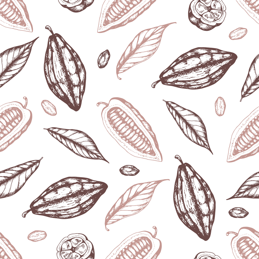 Vintage hand drawn seamless pattern with cocoa beans and leaves on a white background. Vector illustration
