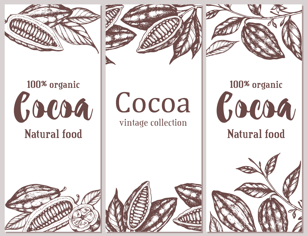 Vintage hand drawn vertical banners with cocoa beans and plants on a white background. Vector illustration