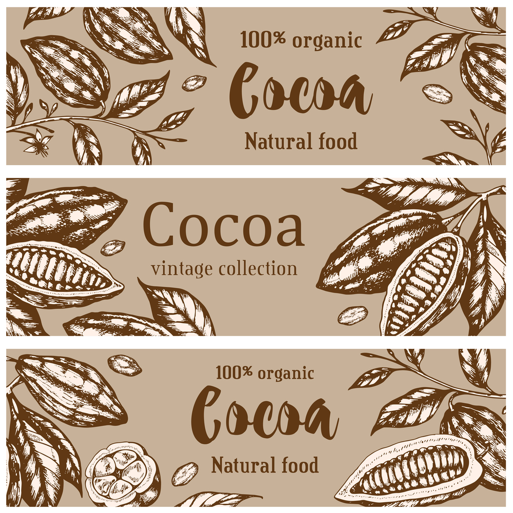 Vintage hand drawn horizontal banners with cocoa beans and plants. Vector illustration