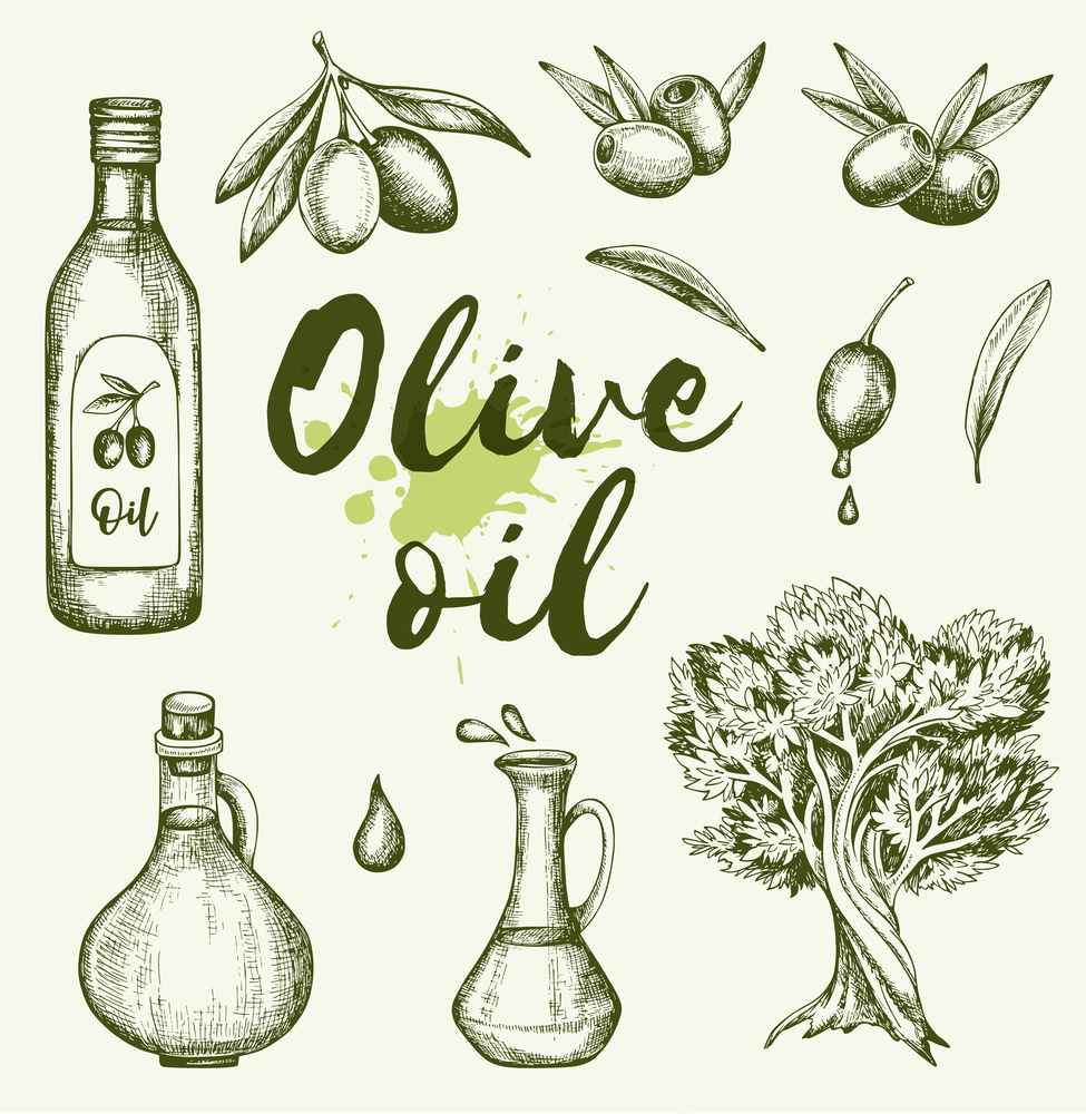 Vintage hand drawn olives and olive oil. Vector illustration