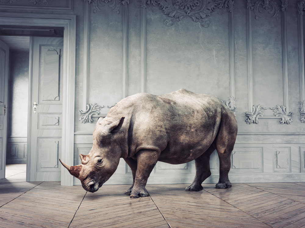 wild rhino in the luxury room interior. photo and media mixed creative concept