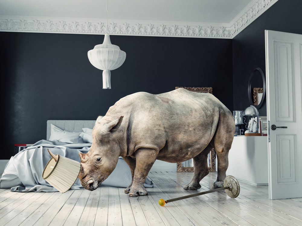 wild rhino in the luxury bedroom interior. photo and media mixed creative concept