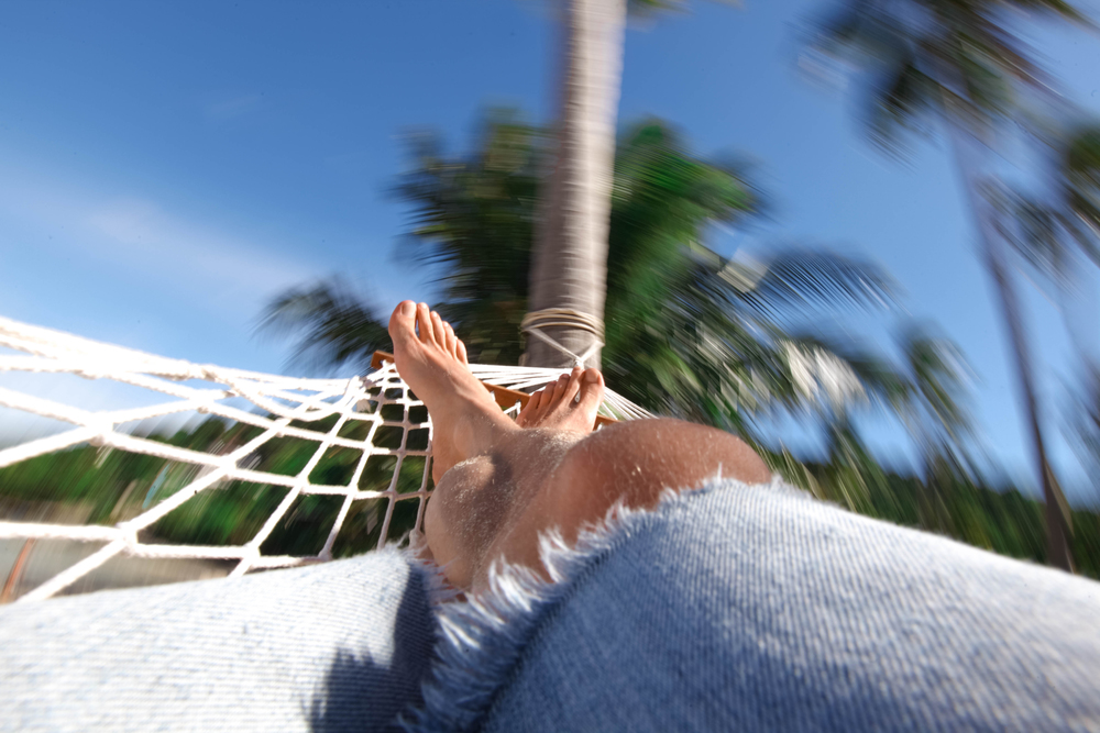 Relaxed male tourist swaying in a hammock under the palm. Tourist swaying in a hammock