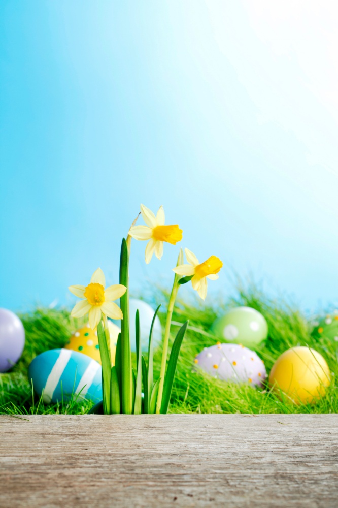 Yellow narcissus flowers and easter eggs on spring grass background. Yellow Flowers and easter eggs
