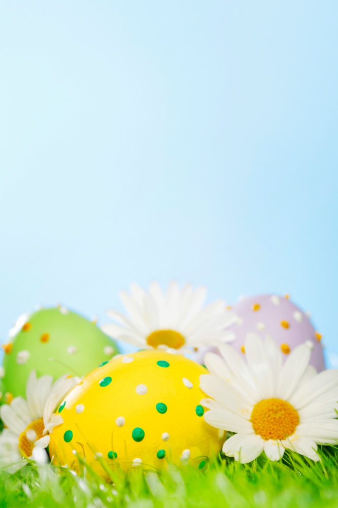 Colorful easter eggs in fresh spring green grass with flowers. Easter eggs in grass