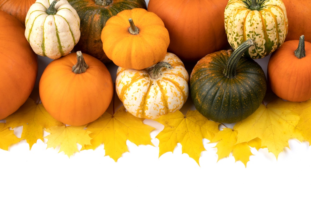 Many colorful pumpkins and maple leaves frame isolated on white background, autumn harvest, Halloween or Thanksgiving concept. Many pumpkins and leaves frame
