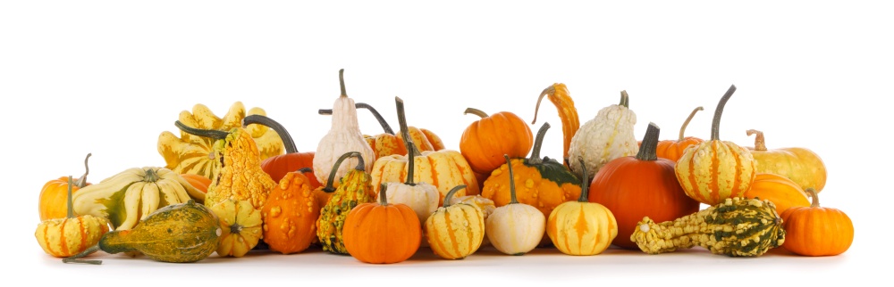 Assortment variation of autumn harvested pumpkins in a heap isolated on white background , Halloween or thanksgiving holiday agriculture concept. Harvested pumpkins isolated on white background