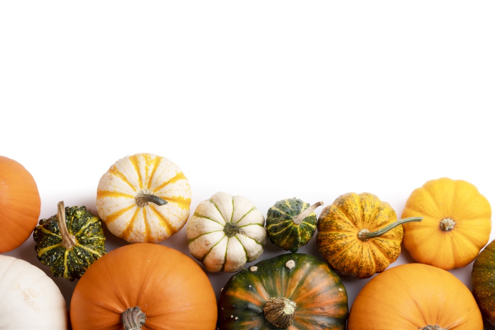Different pumpkins isolated on white background, autumn theme, texture. Design ideas, top view. Halloween, Thanksgiving day. Pumpkins on white background