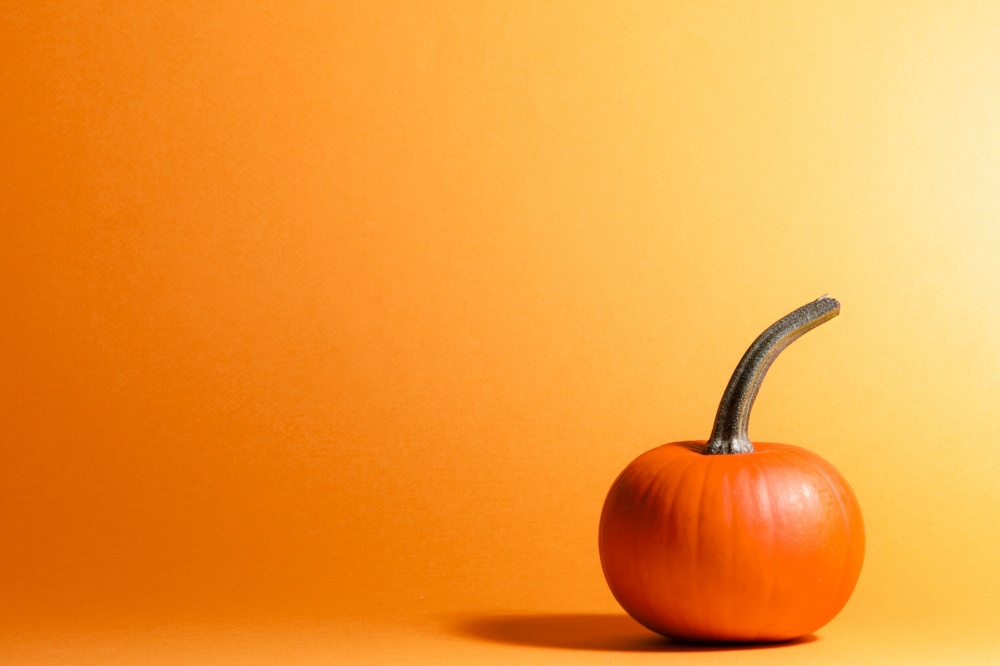 Close-up of a whole ripe pumpkin on orange background. With space to copy. Halloween Celebration Concept. Minimal design. Whole pumpkin on orange background