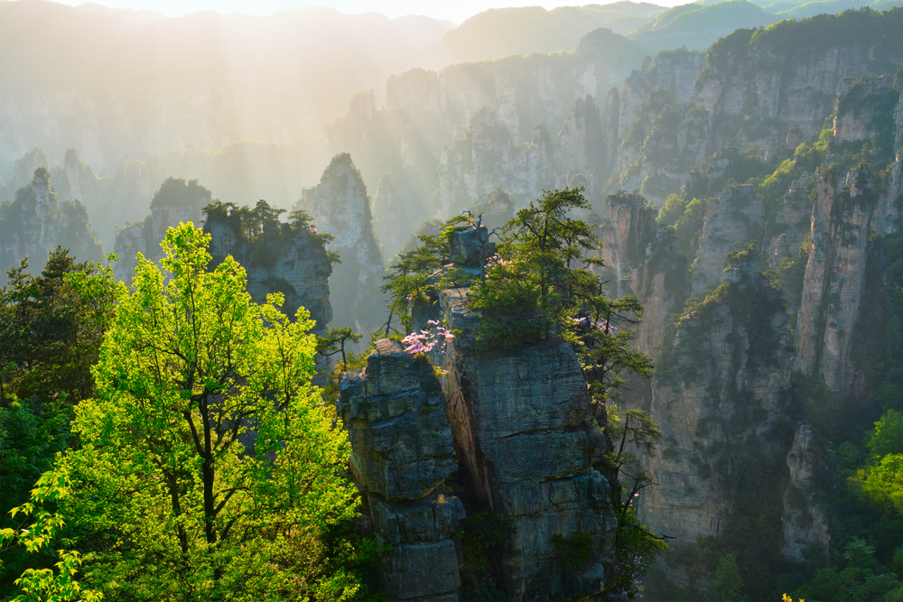 Famous tourist attraction of China - Zhangjiajie stone pillars cliff mountains on sunset at Wulingyuan, Hunan, China. Zhangjiajie mountains, China