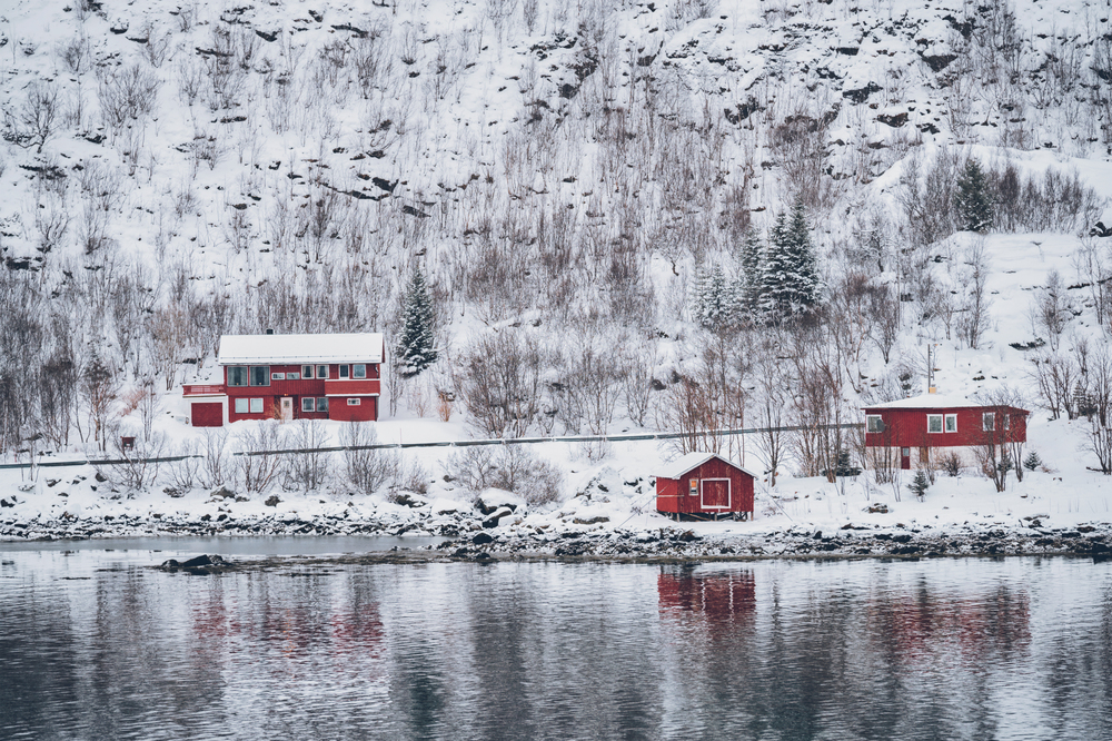 Traditional red rorbu houses on fjord shore in snow in winter. Lofoten islands, Norway. Rd rorbu houses in Norway in winter