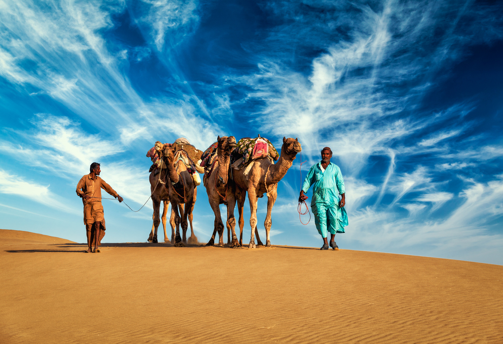 Rajasthan travel background - two Indian cameleers (camel drivers) with camels in dunes of Thar desert. Jaisalmer, Rajasthan, India. Two cameleers camel drivers with camels in dunes of Thar desert