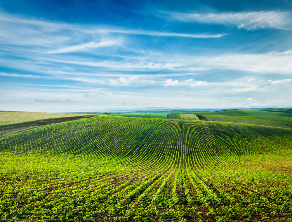 Rolling fields of Moravia, Czech Republic. Rolling fields of Moravia