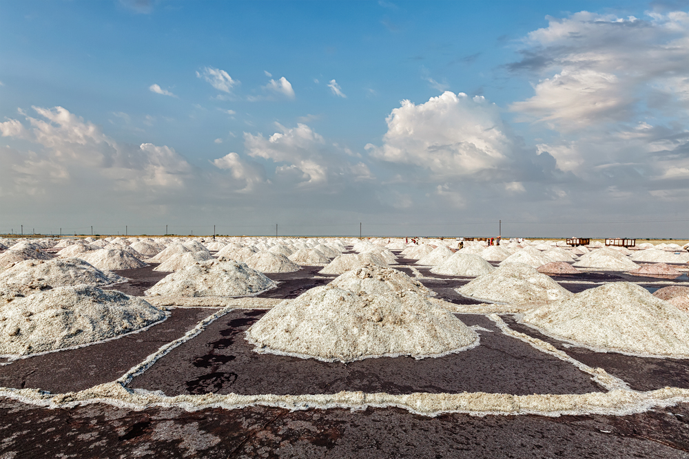 Salt mine at Sambhar Lake in daytime. Sambhar, Rajasthan, India. Salt mine at lake