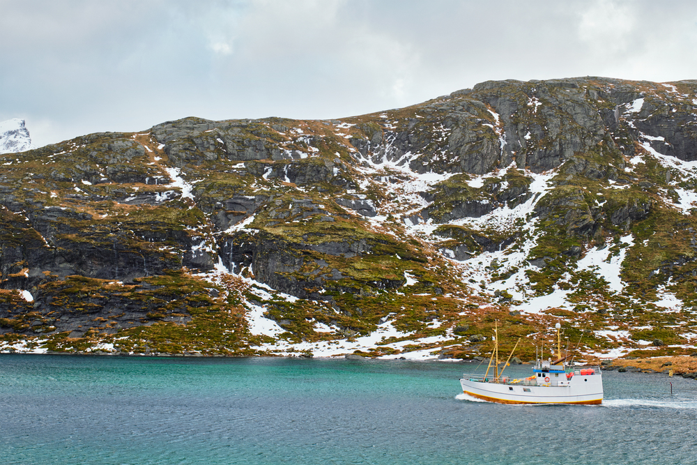 Fishing ship boat in Norwegian fjord. Lofoten islands, Norway. Fishing ship in fjord in Norway