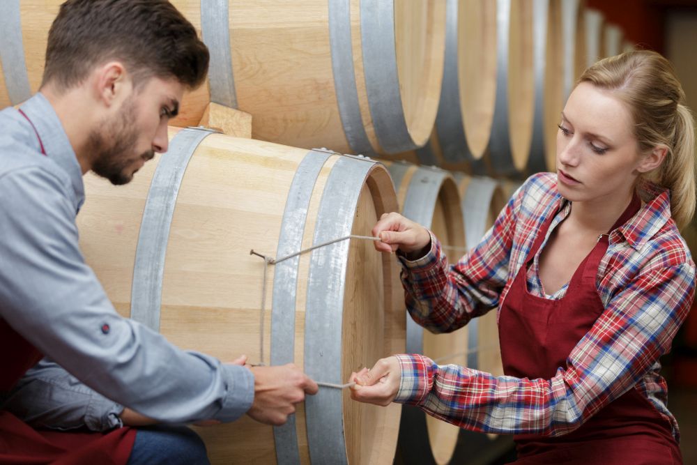 two staff inspecting barrels in a wine factory warehouse