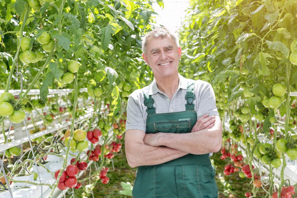 Smiling gardener standing with arms crossed in greenhouse