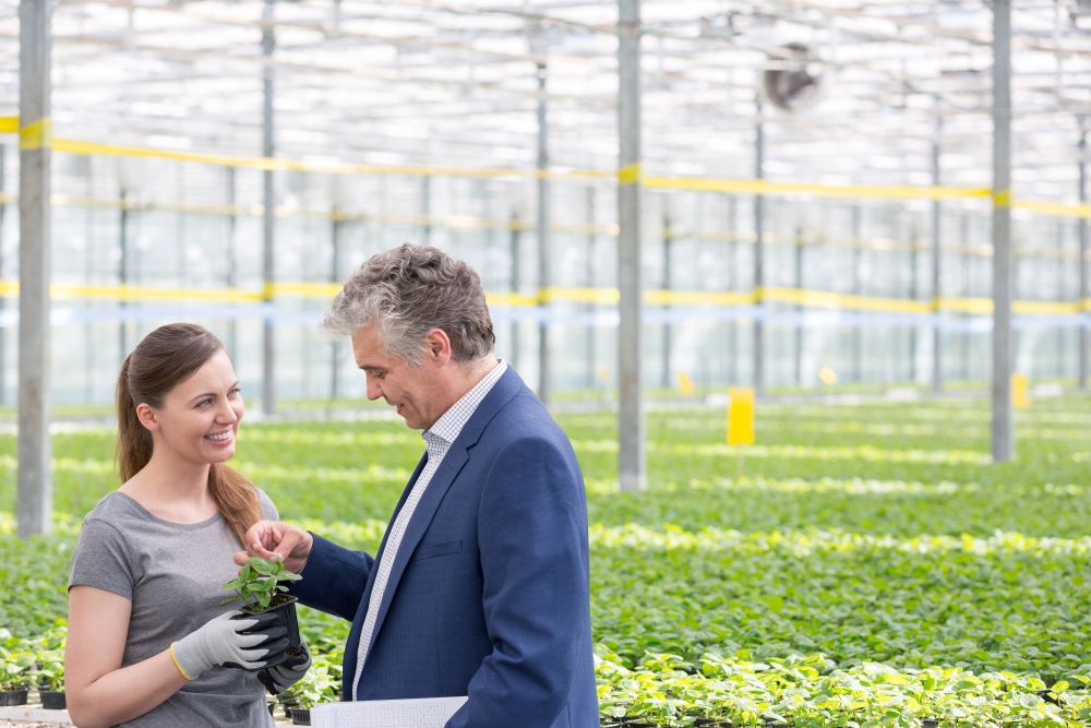 Smiling female botanist looking at mature businessman standing in greenhouse