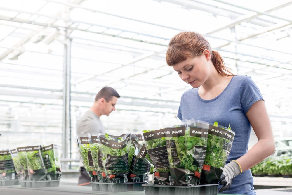 Young female botanist packing seedlings in greenhouse