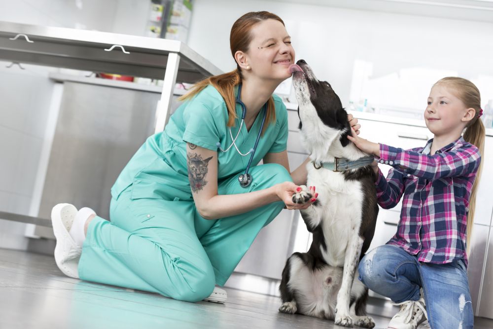 Dog licking young veterinary doctor by girl kneeling at clinic
