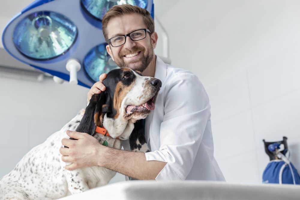 Portrait of smiling doctor with dog at veterinary clinic