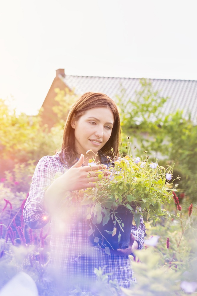 Portrait of mature female buyer checking flowers on pot in shop