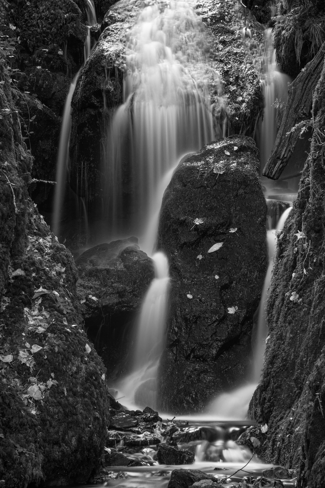 Stunning tall waterfall in landscape foliage in early Autumn in black and white